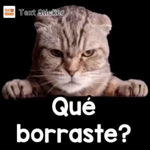 Qué borraste? - getsticker.com