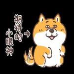 圓圓胖狗和愉快的小夥伴們