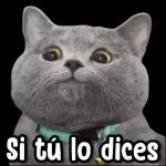de toco morocho