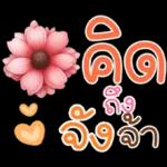 คำฮิต ภาษาดอกไม้ คนเหงา