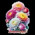 Доброе утро!