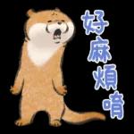 小玩笑小水獺--好耶！