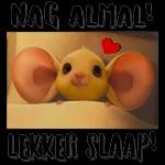 Lekker slaap