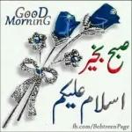 اسلام وعلیکم