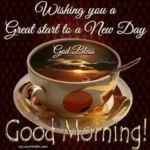 My love have a nice day