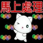 可愛白貓實用問候語貼圖