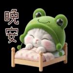 青蛙喵喵♡實用日常