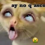 ESTOY ESPERAND!!!