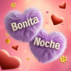 Bonita Noche - getsticker.com