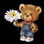 Moin Moin!