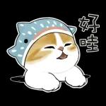 鯊魚貓咪 2