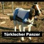 enbesen Feat fürs Belt Gute Nacht