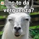 qué ven mis ojos!