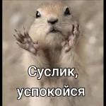ыпа