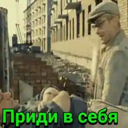 мой1 