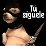 no pos dino