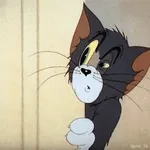 peek-a-boo these are for you