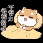 good  morning