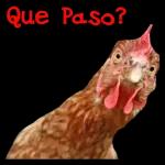 Que Paso?