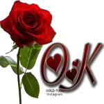 Red rose🌹