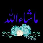 اپنی حد سے آگے مت بڑھو