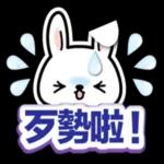 小兔子3D貼紙:很可愛哦