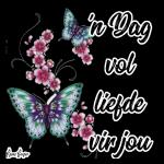 'n Dag vol Liefde vir jou, 
