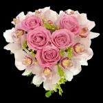 I love you