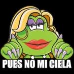 Gracias porel Visto