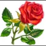 с новым днём 💖🥰💞