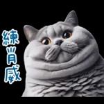 起肖貓貓★台語卡唬爛!