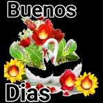 Buenos Dias 