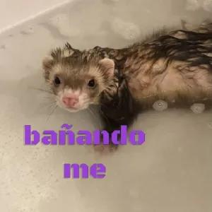 9RlkV0