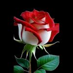 Очень серьезный разговор