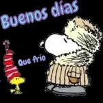 Pegatinas divertidas