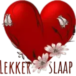 lekker slaap