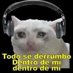 risas 