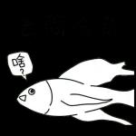 你伤害了我幼小的心灵