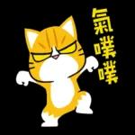 貓爪抓歡喜供台語