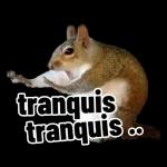 tranquis tranquis 8
