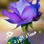 8
مساء الورد