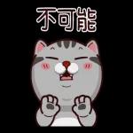 塔仔不正經 龍來啪