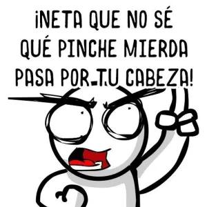 ¡NETA QUE NO SÉ QUÉ PINCHE MIERDA PASAPOR-TU CABEZA! - getsticker.com