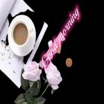 A new day begins🌞🌞