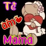 🌹Día de la madre ✨❣