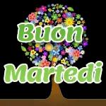 Buon martedi