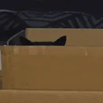 ¡ah! ¿En realidad?