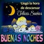 buenas noches