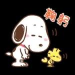 PEKO醬☆冬季繽紛