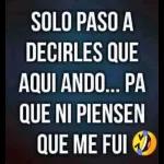 falvaradosanchez16
